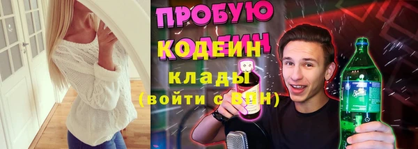 тгк Дмитриев