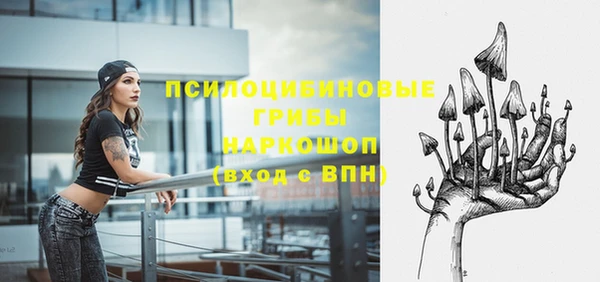 Альфа ПВП Ельня