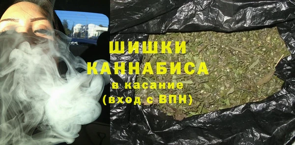 сатива Дмитров