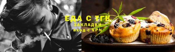 тгк Дмитриев