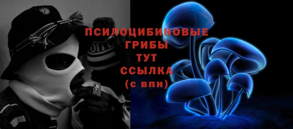 Альфа ПВП Ельня