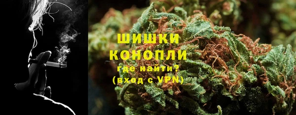 Альфа ПВП Ельня