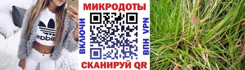 Купить закладки  Рошаль  Галлюциногенные грибы Psilocybe 